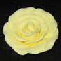 RR Roses - Large - Yellow