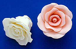 RR Roses - Large - Peach