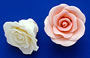 RR Roses - Large - Peach