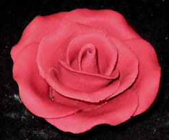 RR Roses - Large - Burgundy