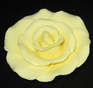RR Roses - Ex-Large - Yellow