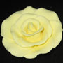 RR Roses - Ex-Large - Yellow