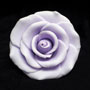 RR Roses - Ex-Large - Lavender