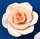 RR Roses - Ex-Large - Peach