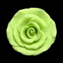 RR Roses - Ex-Large - Light Green