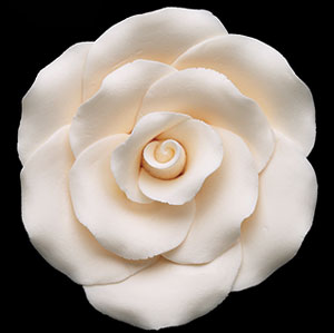 RR Roses - Ex-Large - Ivory