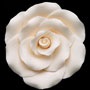 RR Roses - Ex-Large - Ivory