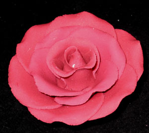 RR Roses - Ex-Large - Burgundy