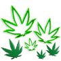 Marijuana Cutter Set (3 Pcs)