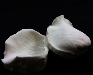 SN Rose Petal Veiner