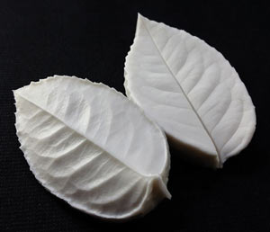 SN Rose Leaf Veiner - Medium
