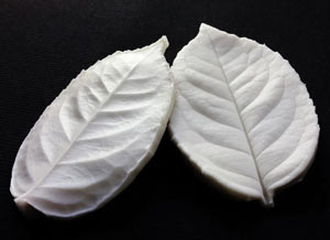 SN Rose Leaf Veiner - Large