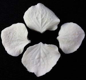 SN Hydrangea Petal Veiner Set