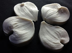 SN Dogwood Petal Veiner Set - Large