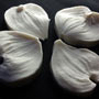 SN Dogwood Petal Veiner Set - Large
