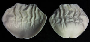 SN Poppy Petal Veiner - Medium