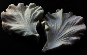 SN Hibiscus Petal Veiner