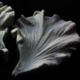 SN Hibiscus Petal Veiner