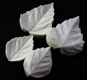 SN Hibiscus Leaf Veiner Set