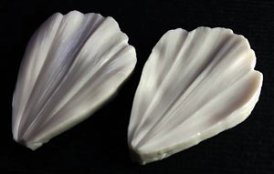 SN Cosmos Petal Veiner - Large