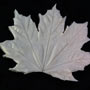 SN Maple Leaf Veiner - Medium