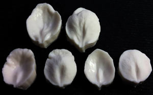SN Apple Blossom Veiner Set
