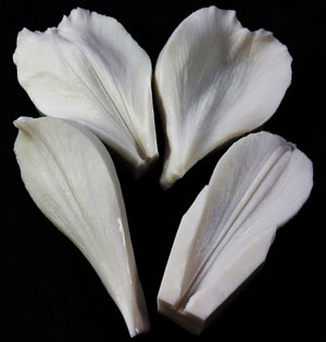 SN Alstroemeria Petal Veiner Set