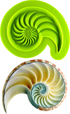Nautilus Shell Silicone Mold