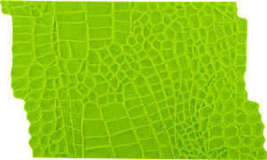 Alligator Skin Silicone Impression Mat
