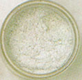 Special 2 oz. Jar- Frosted White Diamond Dust