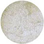 Diamond Dust- Frosted White