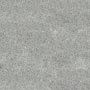 Dazzler (5 Gr) American Silver Dust