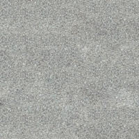 Dazzler American Silver - 50 Gram Jar