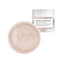 Luster Dust - Soft Rose Gold