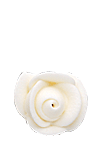 Mini Icing Roses - White