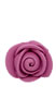 Mini Icing Roses - Fuchsia