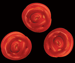 Small Icing Roses - Red Gloss