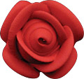 Petal Roses - Red