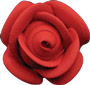 Petal Roses - Red