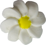 Medium White Daisies