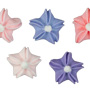 Mini Star Blossoms - Assorted