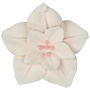 Cherry Blossom - Large