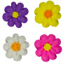 Daisies Mini Royal Icing Assortment