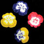 Pansies - Multi Tone Assortment
