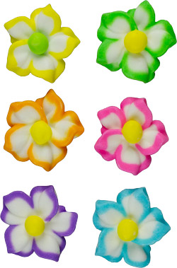 Star Flower Minis - Assorted
