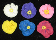 Pansies - Minis