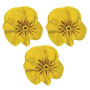 Pansies - Yellow - Royal Icing