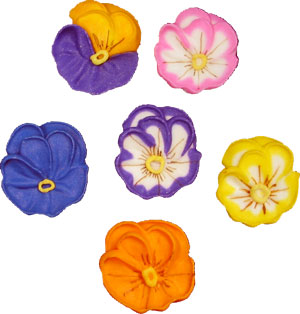 Pansies - New Style Assorted