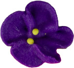 Violets - Minis