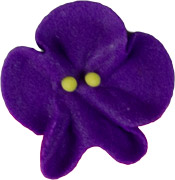 Violets - Small
